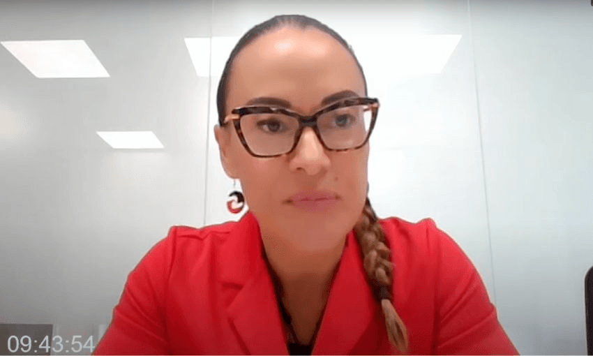 Lawyer Tania Waikato speaks in a livestream for the tribunal's regulatory standards bill urgent hearing.