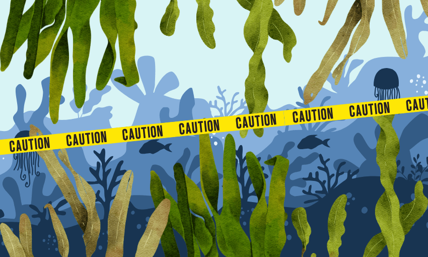 Illustration of an underwater scene with seaweed, fish, and a jellyfish, blocked by yellow caution tape stretching across the center of the image.