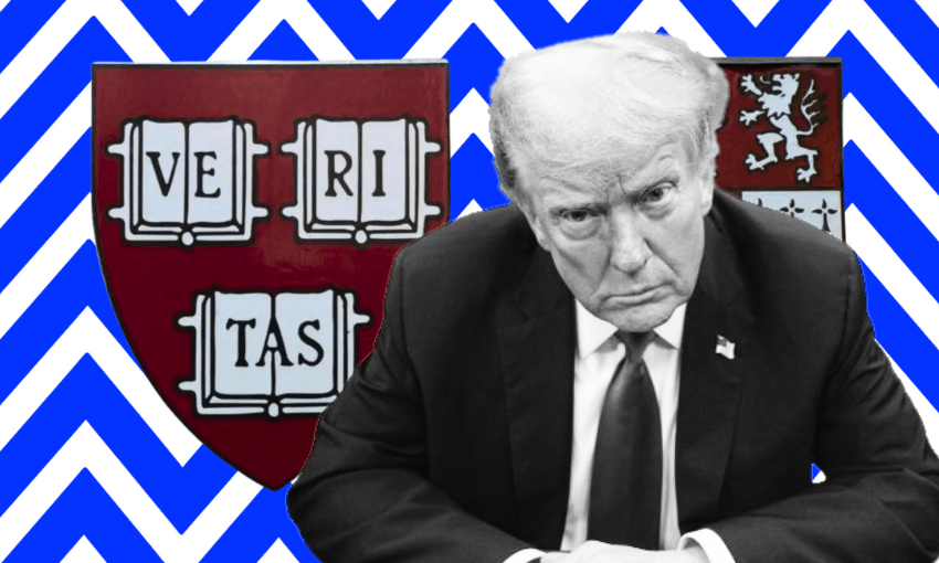 A serious-looking man in a suit sits in front of a Harvard University crest, with a blue and white zigzag background.