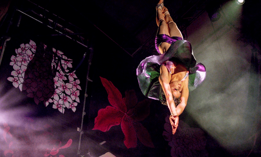 Haus of Yolo (Photo: Supplied) 
