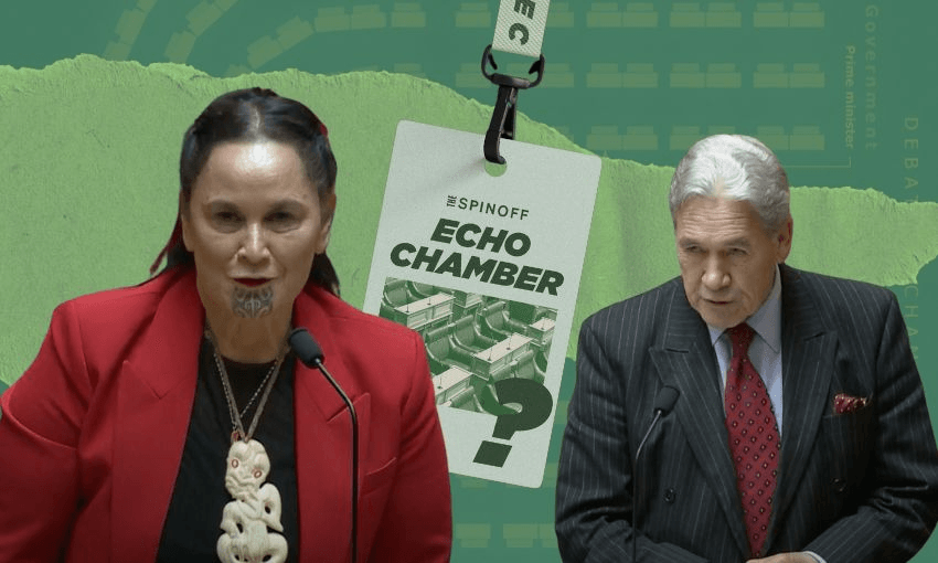 Two very different Māori members of parliament stand before you. 
