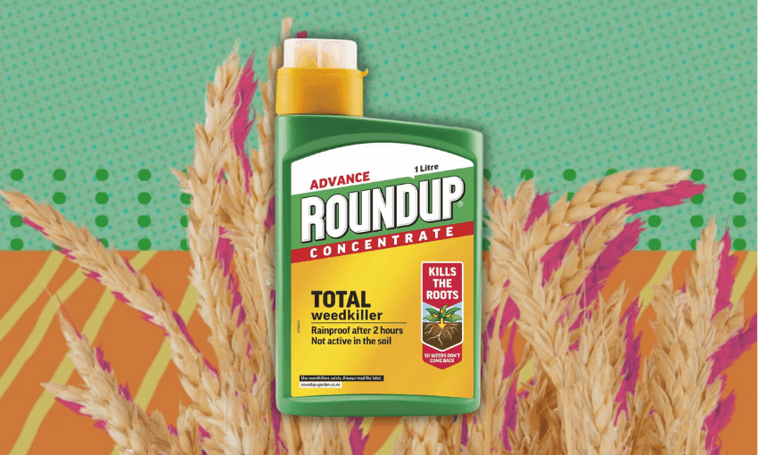 heads of wheat on a green and orange background with slightly unsettling green dots and a picture of a bottle of roundup weed killer overlaid on top