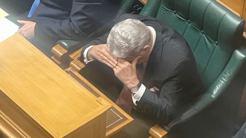 Winston Peters in a suit in parliament with head in hands