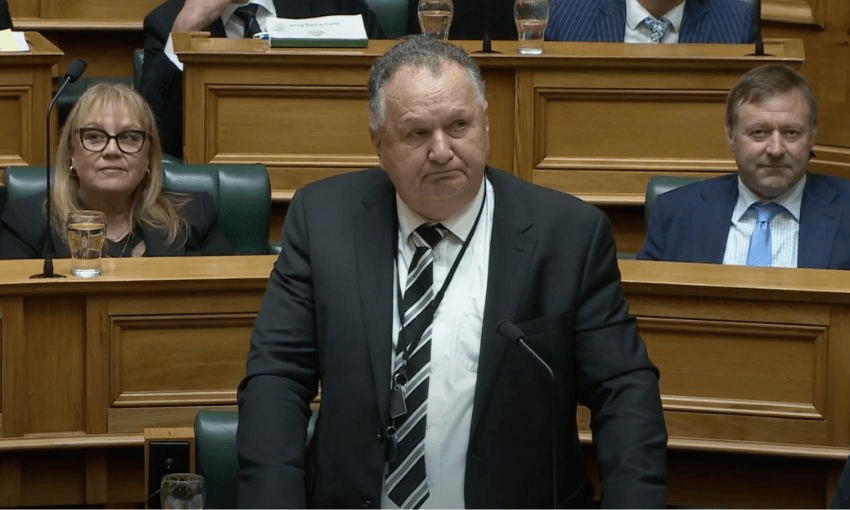 Shane Jones speaks in the House.