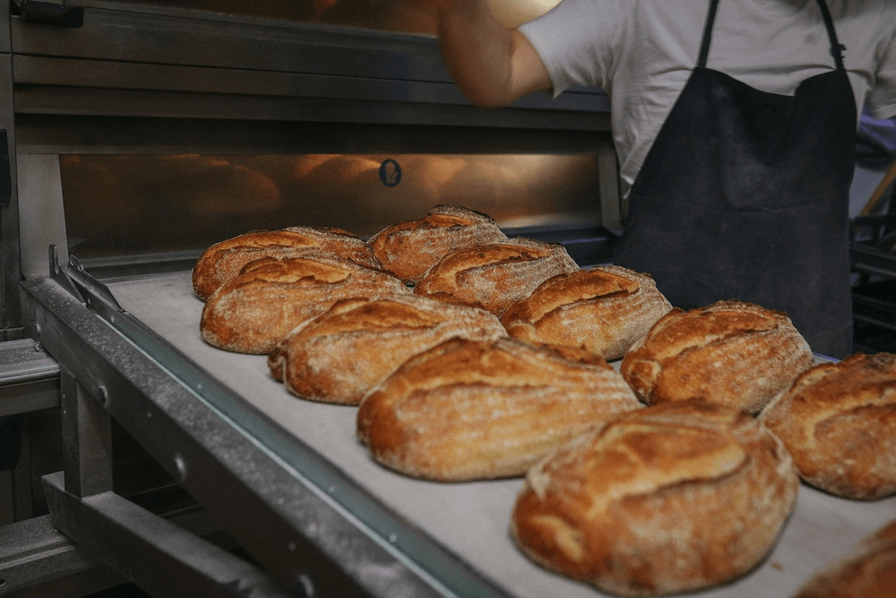 lots of delicious sourdough loaves coming out of an oven