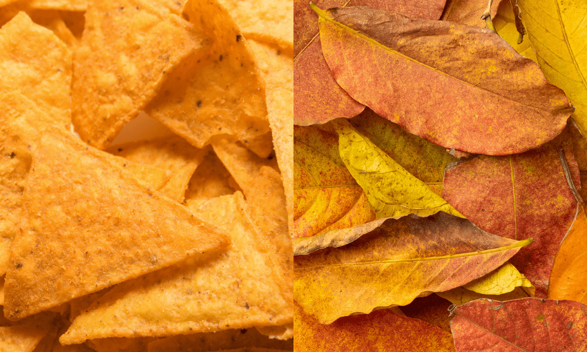 corn chips on one side, autumn leave son the other