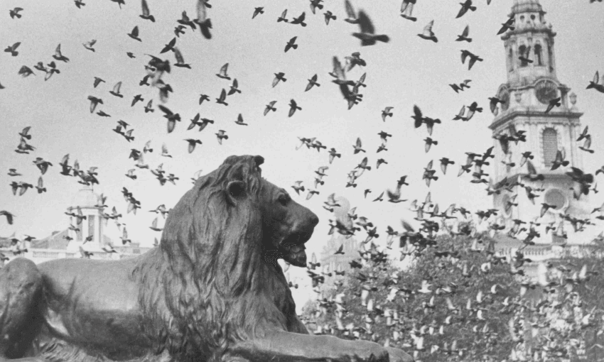 The Friday Poem: ‘Slow Motion’ by Hannah Patterson