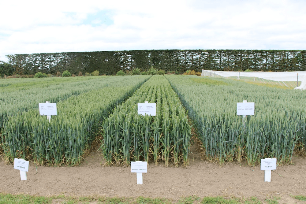 a field labelled with numbers