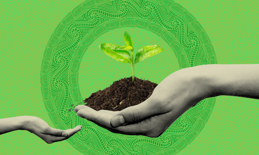 A collage shows two hands. The hand in the centre holds a handful of soil with a small green plant just emerging from it. It is passing this plant to another hand reaching in from the other side of the collage. The background is green with a circular, graphic pattern.