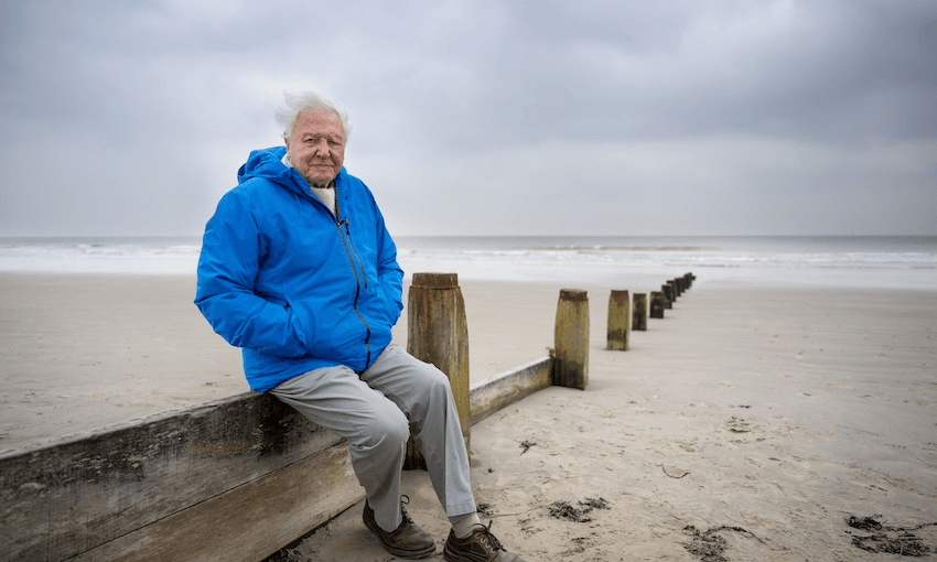 David Attenborough wears a blue jacket and sits on a wooden fence on a sandy beach with grey skies behind him