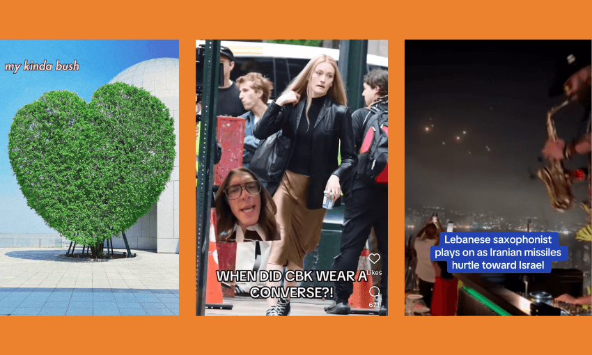 A collage of three images: a heart-shaped bush with "my kinda bush" text, a woman in black walking with a superimposed surprised face and text "WHEN DID CBK WEAR CONVERSE?!", and a saxophonist playing with news text overlaid.