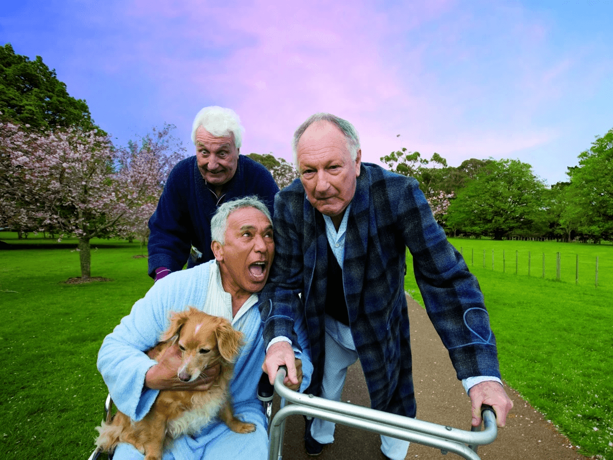 Three older gentlemen on a park walkway, one holding a dog and using a wheelchair and one using a walker
