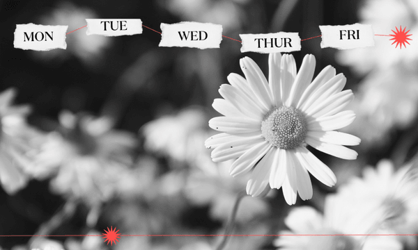 The Weekend: Dignity in death shouldn’t be so hard