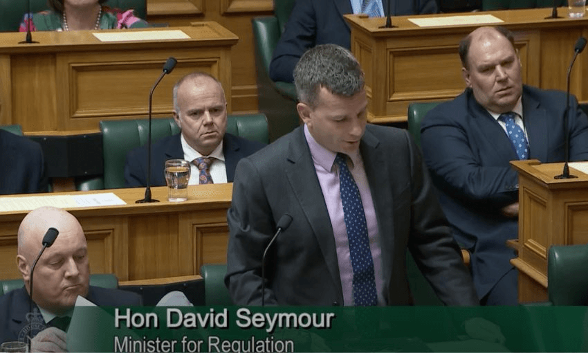 A screenshot from Parliament TV of David Seymour speaking in the House.