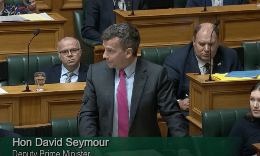 David Seymour speaks in the House of Representatives.