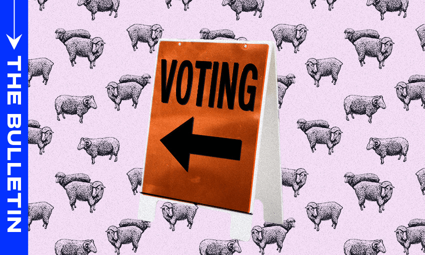 Critics have raised concerns that the changes to voting rules will disproportionately affect Māori and Pasifika, young people, and those in unstable housing. (Image: Archi Banal)