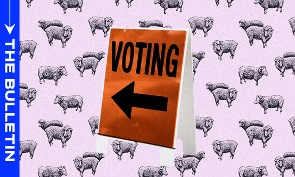 Critics have raised concerns that the changes to voting rules will disproportionately affect Māori and Pasifika, young people, and those in unstable housing. (Image: Archi Banal) 
