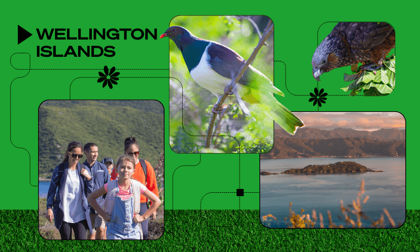 A collage with "Wellington Islands" text, native birds, a group of people hiking, and a small island in blue water, all set against a bright green background with decorative lines and flowers.
