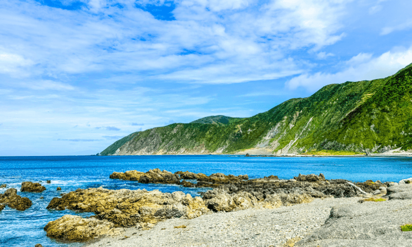 Rocky shoreline of Taputeranga Marine Reserve with clear blue water in the foreground and lush green hills under a partly cloudy sky in the background. The scene appears peaceful and natural, with vibrant colors and gentle waves.