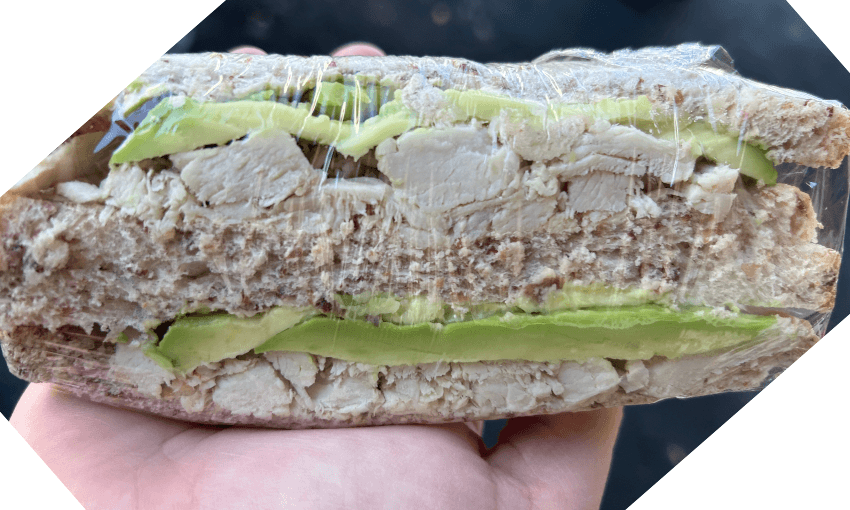 a chicken and avocado sandwich up close