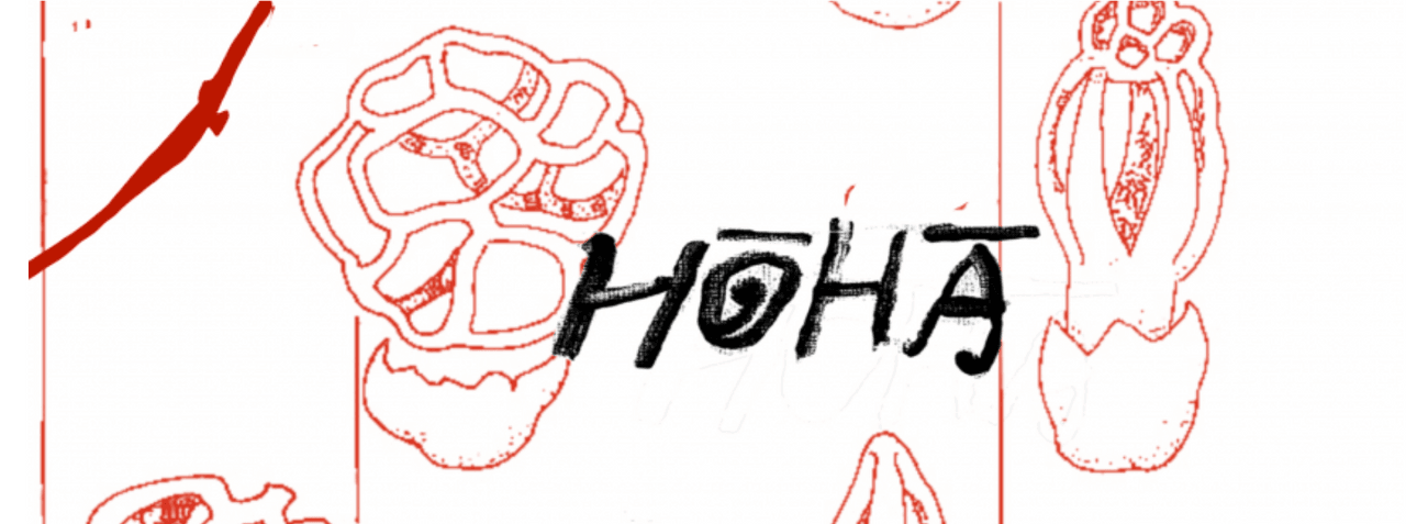 hōhā hand drawn poster with mushrooms