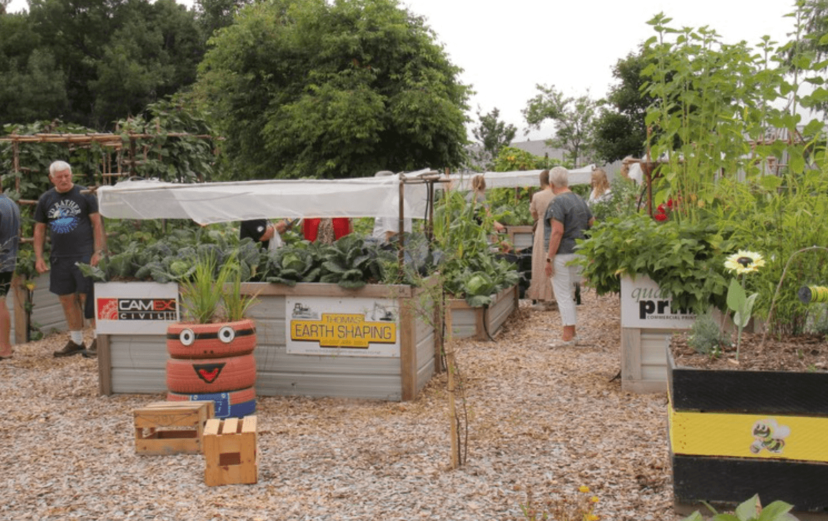 a community garden