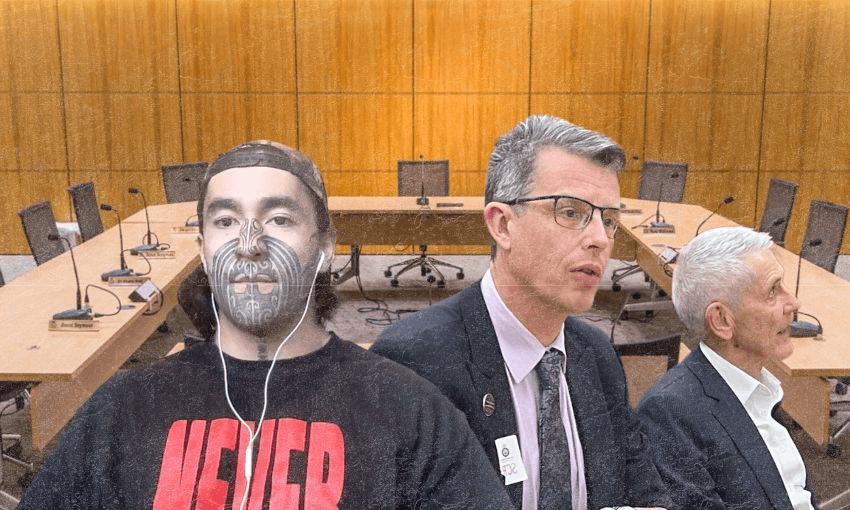 Eru Kapa-Kingi and Eric Crampton and Bryce Wilkinson submitted on the final day of the RSB hearings. 
