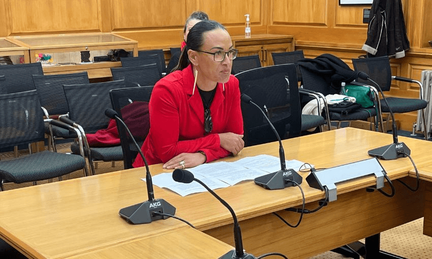 Tania Waikato sits in select committee room 4 for the RSB oral hearings.