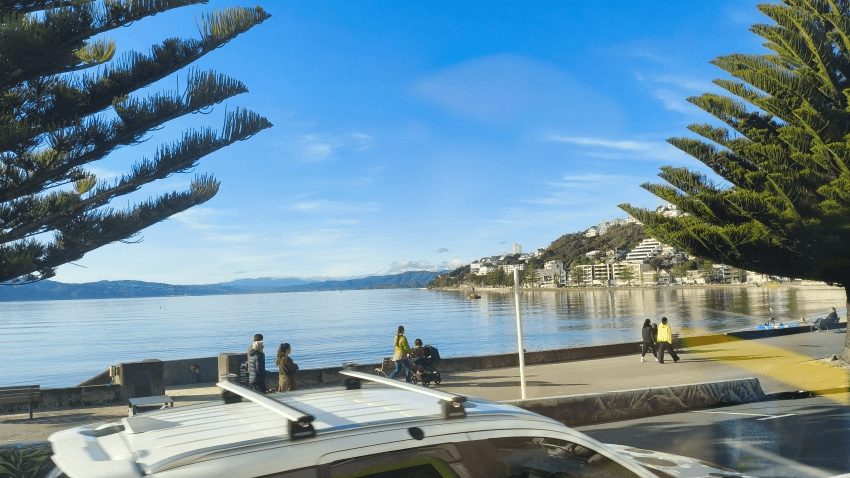 A coastal promenade lined with trees, people walking and enjoying the sunny day. Calm blue water and distant hills are visible, with buildings along the shoreline and a white car in the foreground.