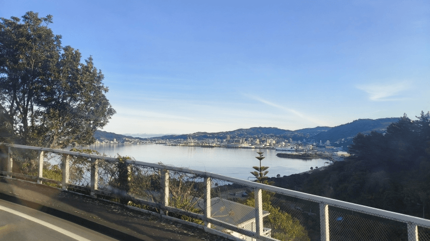 View of a city across a calm bay, with hills in the background, trees in the foreground, and a road with a white railing curving along the hillside under a clear blue sky.