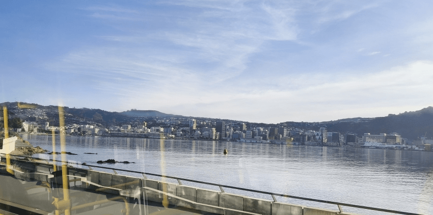 A calm harbor with gentle waves, city buildings along the waterfront, hills in the background, and a clear blue sky above. Reflections of glass panels are visible in the foreground.