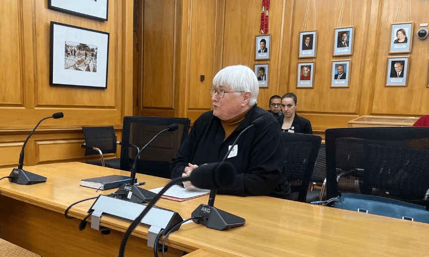 Marian Hobbs, former environment minister, submits on the regulatory standards bill in parliament's select committee room 4.