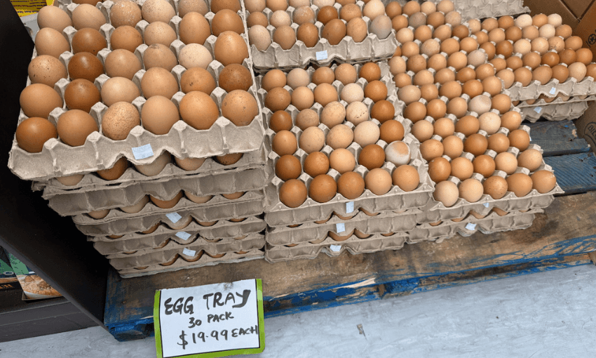 Several trays of brown eggs are stacked on a wooden pallet, with a handwritten sign in front reading, "EGG TRAY 30 PACK $19.99 EACH"