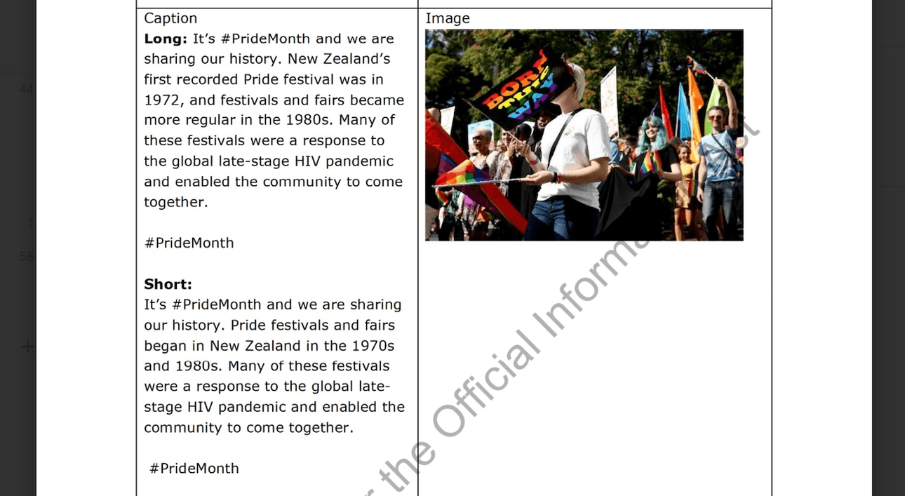 a screenshot of a social media briefing with text explaining some New Zealand pride festival history and a photo of a person waving a pride flag