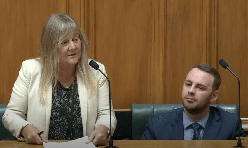 Minister Penny Simmonds (standing in the parliamentary debating chambers next to National MP Tom Rutherford) addresses the House.