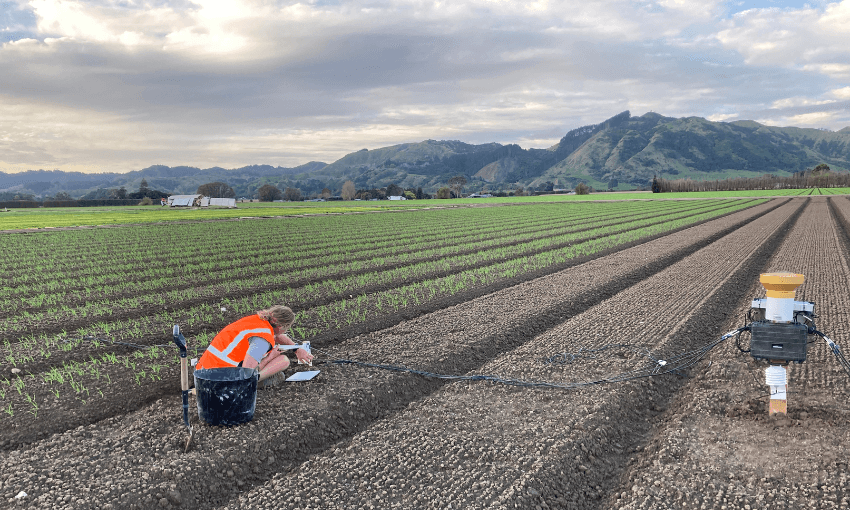 A person in an orange safety vest kneels in a field of young crops, taking notes near a weather sensor on a tripod, with mountains and cloudy sky in the background.