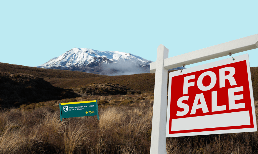 A large "For Sale" sign stands in grassy terrain with a snow-capped mountain in the background. A green Department of Conservation sign is visible among the grass. The sky is clear and blue.