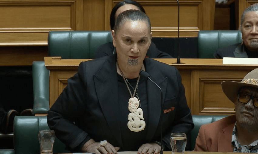 Screenshot from Parliament TV of Debbie Ngarewa-Packer speaking in the House next to Rawiri Waititi.