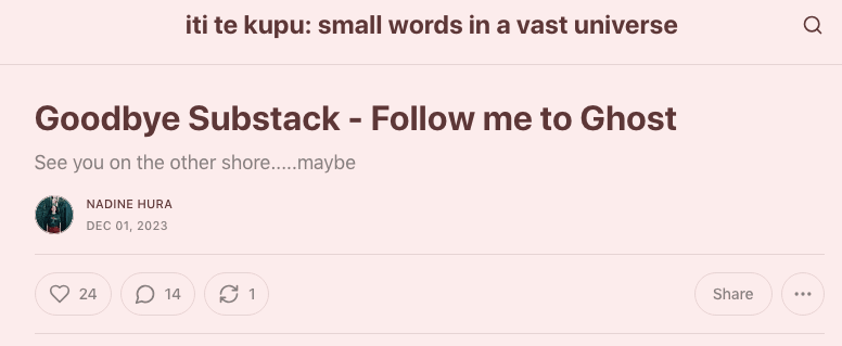 Nadine Hura's final Substack dispatch.