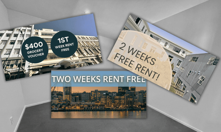 The buzziest deals on offer in Wellington’s renters’ market