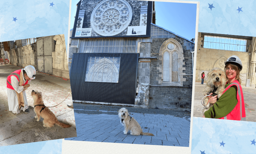 A collage of images including a chaplain and a terrier dog, a dog in front of the cathedral and a dog inside the cathedral