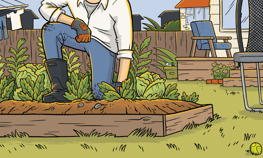 You’re not just growing veges, you’re growing a whole soil ecosystem. (Illustration: Toby Morris) 
