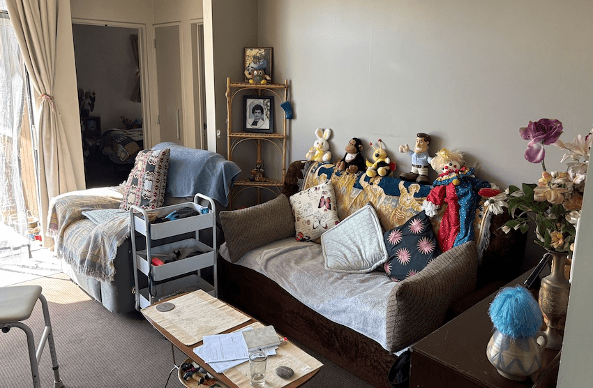A small lounge with brown couch, arm chair, and an array of photo frames and soft toys