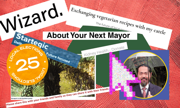 Local election candidate websites are chaotic, but ultimately great sources of information. (Image: screenshots/The Spinoff) 
