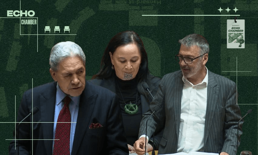 Winston Peters, Debbie Ngarewa-Packer and Duncan Webb 
