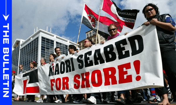 The hīkoi protesting proposed seabed and foreshore legislation, April 28th, 2004. (Photo: Michael Bradley/Getty Images) 

