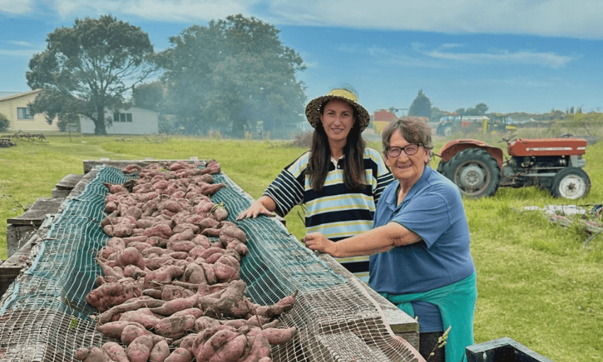 Two women stand outdoors beside a large table covered with harvested sweet potatoes, smiling at the camera. A red tractor, grassy field, and trees are visible in the background under a blue sky.