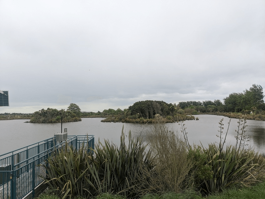 a view of some wetlands a big pond with a concrete bridge