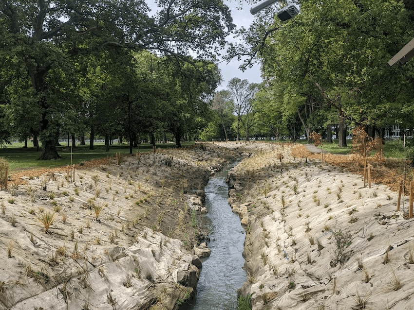 a stream which is pretty straight with lots of plants and wool matting on the side