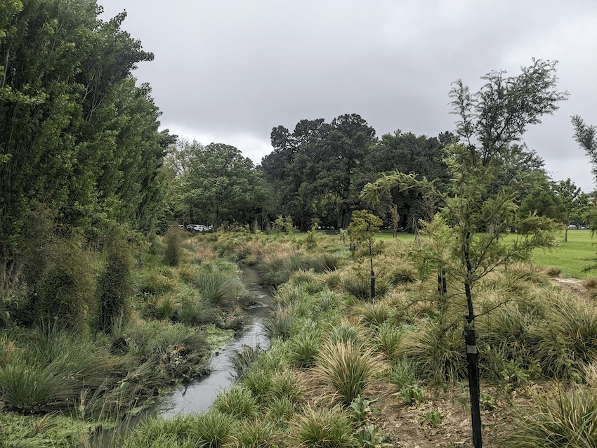 a stream under a cloudy sky with lots of dark greens and yellows of NZ native tussocks, flax and trees with the vibrant green of a turf at the edge 